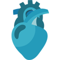 Heart Surgery In India