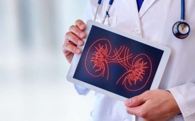 Kidney Transplant Cost in India